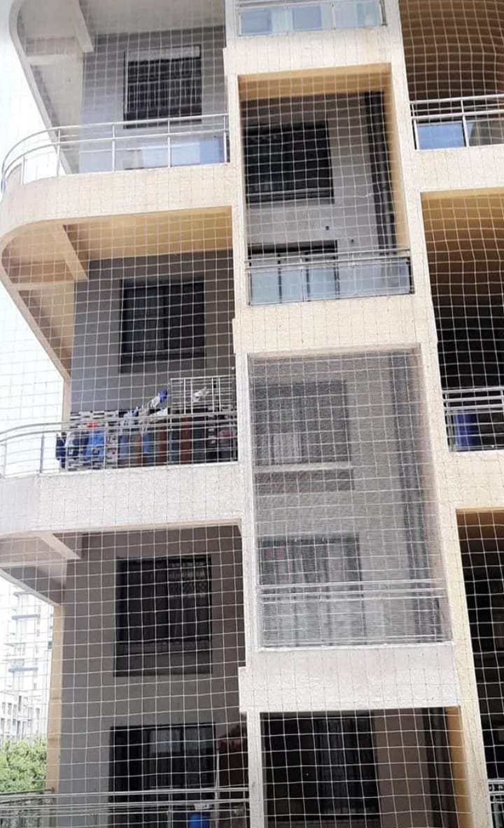 Pigeon netting installation
