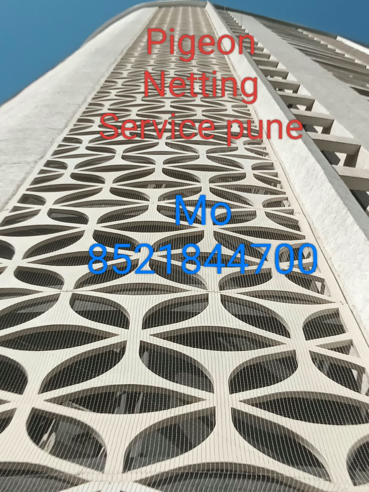 Balcony bird netting service
